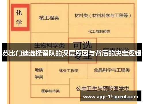 苏比门迪选择留队的深层原因与背后的决定逻辑