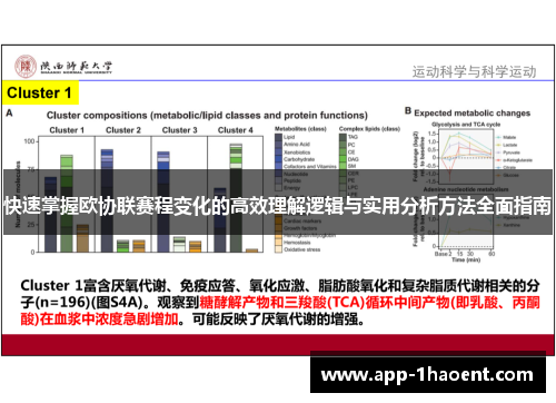 快速掌握欧协联赛程变化的高效理解逻辑与实用分析方法全面指南